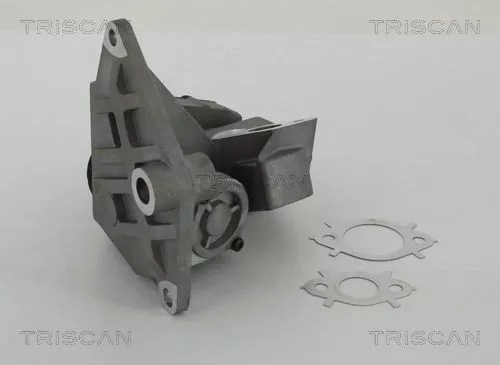 EGR-klep TRISCAN 8813 29047)