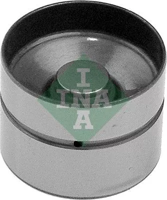 Stoter Schaeffler INA 420 0022 10)