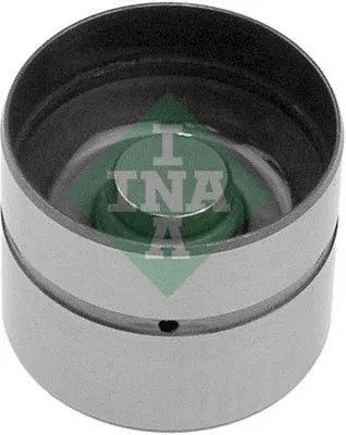 Stoter Schaeffler INA 420 0050 10)