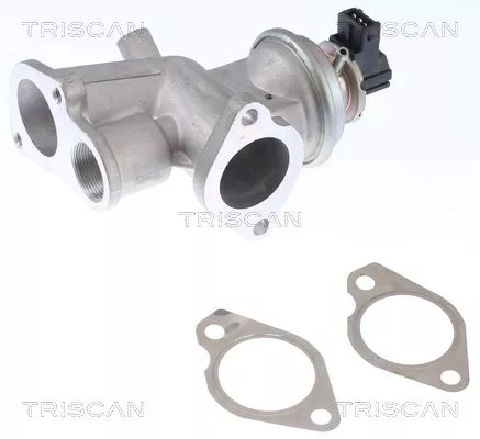 EGR-klep TRISCAN 8813 24203)