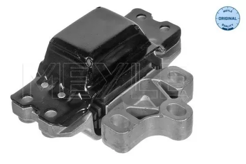 Montage, motor MEYLE 100 199 1095)