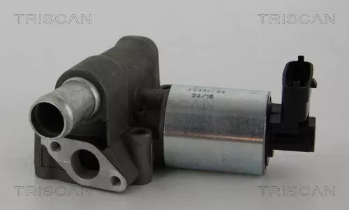 EGR-klep TRISCAN 8813 24102)