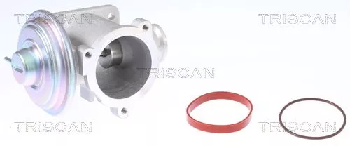 EGR-klep TRISCAN 8813 11003)