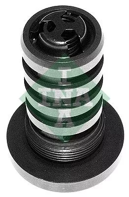 Centrale klep, nokkenasafstelling Schaeffler INA 427 0005 10)
