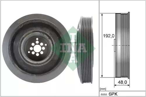 Riempoelie, krukas Schaeffler INA 544 0102 10)