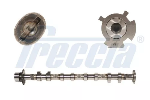 Nokkenas FRECCIA CM05-2248)