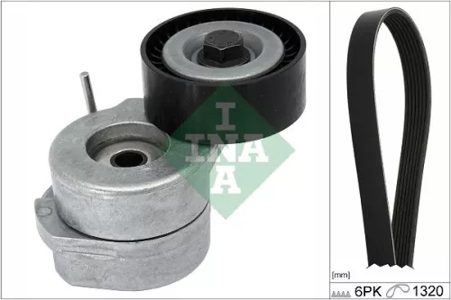 V-geribbelde riemset Schaeffler INA 529 0346 10)