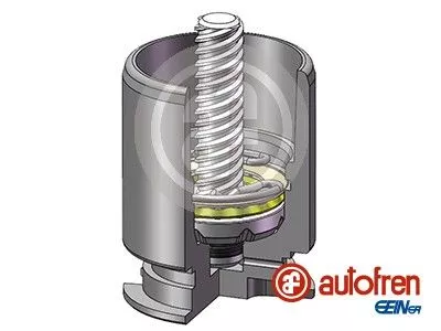 Zuiger, remklauw AUTOFREN SEINSA D02554RK)