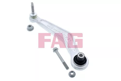 Control/Trailing Arm, wheel suspension Schaeffler FAG 821 0160 10)