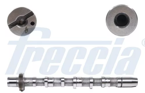 Nokkenas FRECCIA CM05-2189)