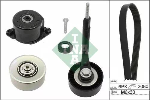 V-geribbelde riemset Schaeffler INA 529 0314 10)