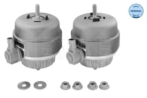Montage, motor MEYLE 100 199 3004/S)