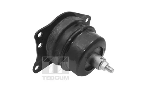 Montage, motor TEDGUM TED40385)
