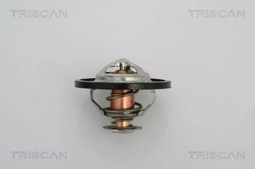 Thermostaat, koelvloeistof TRISCAN 8620 13591)