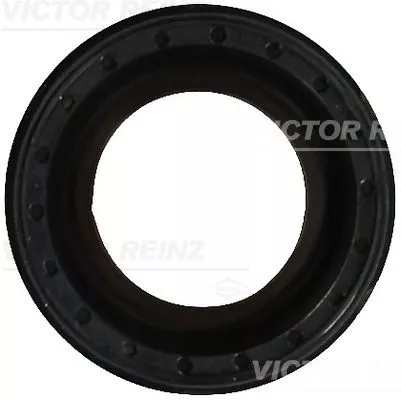 Asafdichting, nokkenas VICTOR REINZ 81-10594-00)