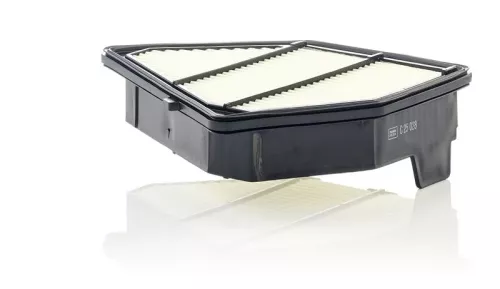 Luchtfilter MANN-FILTER C 25 028)