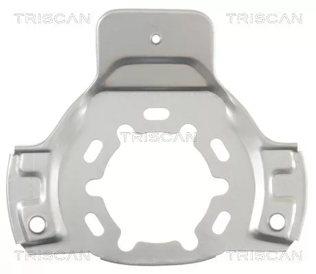 Spatbord, remschijf TRISCAN 8125 24101)