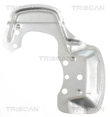 Spatbord, remschijf TRISCAN 8125 24110)