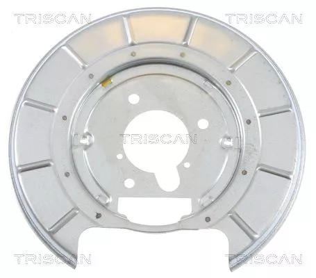 Spatbord, remschijf TRISCAN 8125 28205)