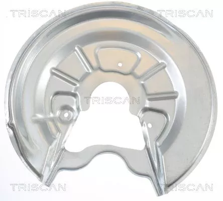 Spatbord, remschijf TRISCAN 8125 29205)