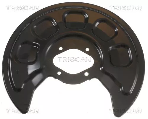Spatbord, remschijf TRISCAN 8125 29226)