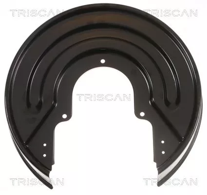 Spatbord, remschijf TRISCAN 8125 29235)