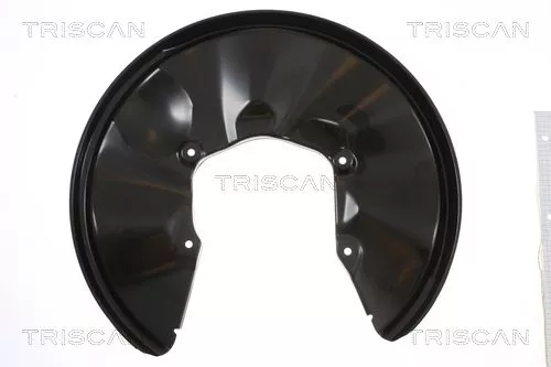 Spatbord, remschijf TRISCAN 8125 29269)