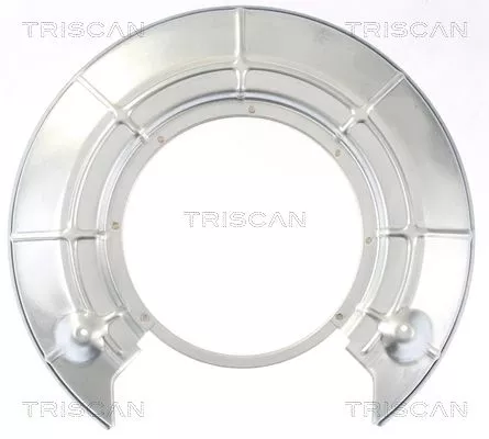 Spatbord, remschijf TRISCAN 8125 65202)