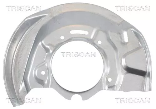 Spatbord, remschijf TRISCAN 8125 13107)