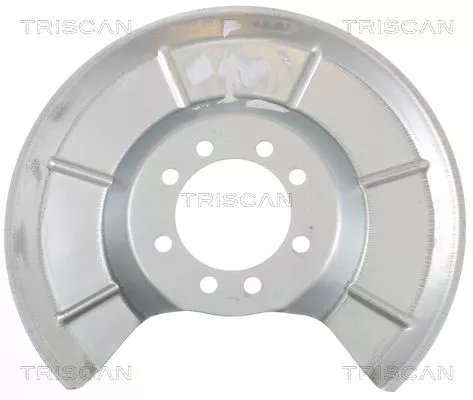 Spatbord, remschijf TRISCAN 8125 16203)