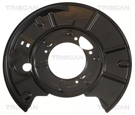 Spatbord, remschijf TRISCAN 8125 23215)