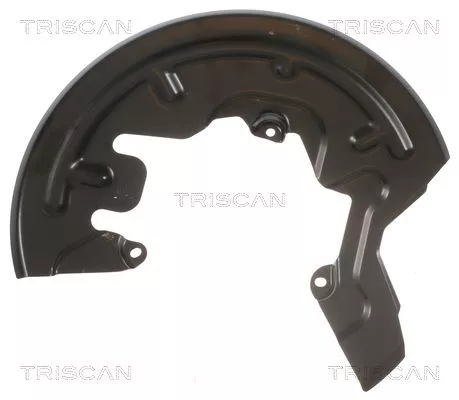 Spatbord, remschijf TRISCAN 8125 25101)