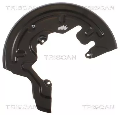 Spatbord, remschijf TRISCAN 8125 25102)