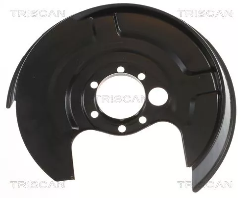 Spatbord, remschijf TRISCAN 8125 29233)