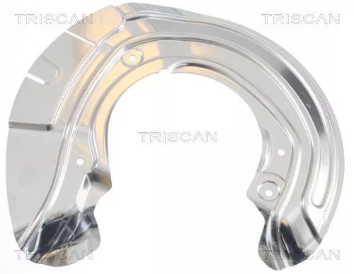 Spatbord, remschijf TRISCAN 8125 11103)