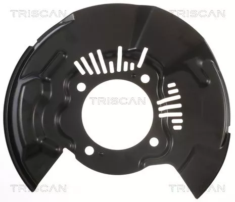 Spatbord, remschijf TRISCAN 8125 13109)