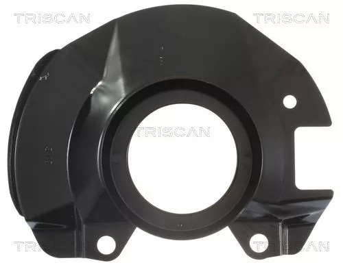 Spatbord, remschijf TRISCAN 8125 18107)