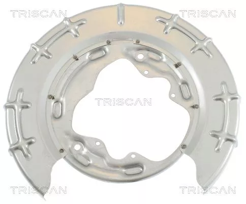 Spatbord, remschijf TRISCAN 8125 18206)