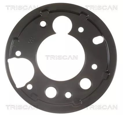 Spatbord, remschijf TRISCAN 8125 23213)