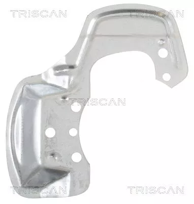 Spatbord, remschijf TRISCAN 8125 24109)