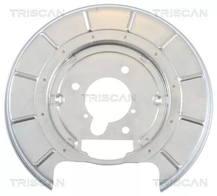 Spatbord, remschijf TRISCAN 8125 28206)