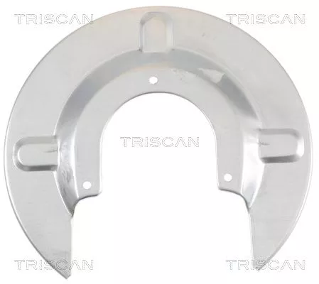 Spatbord, remschijf TRISCAN 8125 29236)