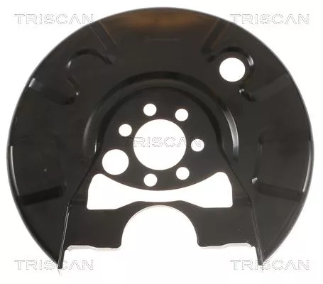 Spatbord, remschijf TRISCAN 8125 29245)