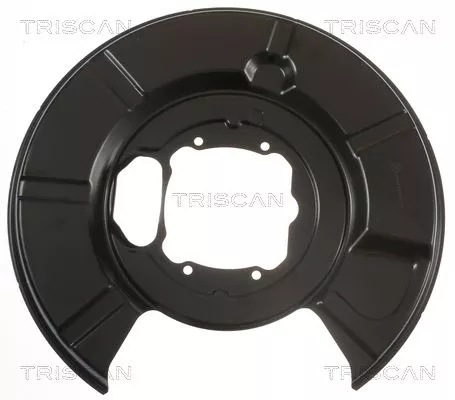 Spatbord, remschijf TRISCAN 8125 11213)