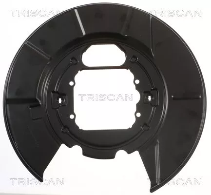 Spatbord, remschijf TRISCAN 8125 11220)