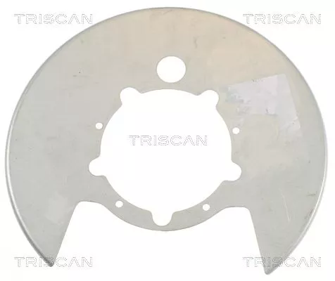 Spatbord, remschijf TRISCAN 8125 15208)