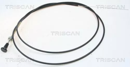 Choke-as, carburateur TRISCAN 8140 91003)