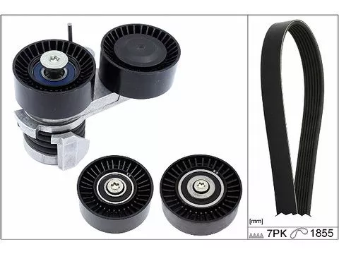 V-geribbelde riemset Schaeffler INA 529 0495 10)