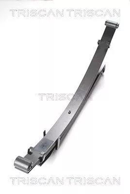 Lentepakket TRISCAN 8765 42006)