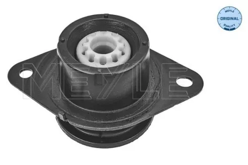 Montage, motor MEYLE 16-14 030 0061)